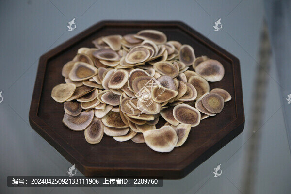 鹿角片