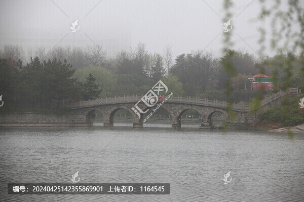 銀河公園霧景