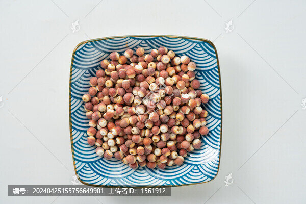 中藥芡實