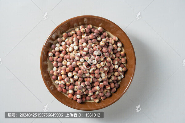 中藥芡實
