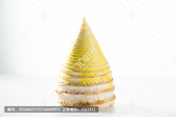 竹筍