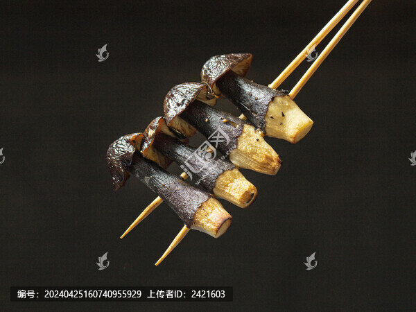 黑皮雞樅菌菇