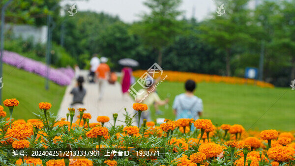 深圳前海桂灣公園風(fēng)景