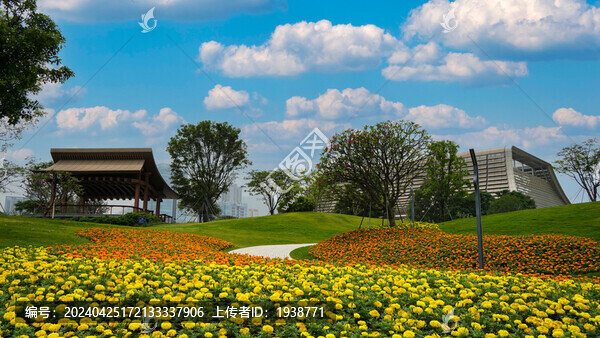 深圳前海桂灣公園風(fēng)景