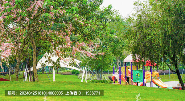 深圳光明區(qū)開明公園美麗春色