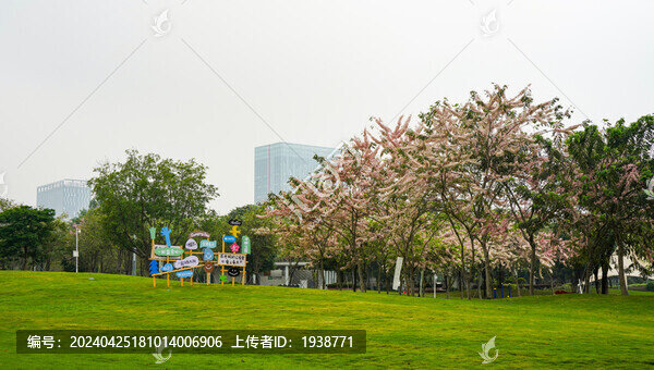 深圳光明區(qū)開明公園美麗春色