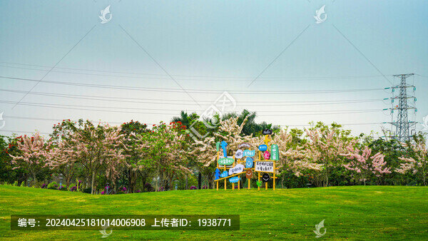 深圳光明區(qū)開明公園美麗春色