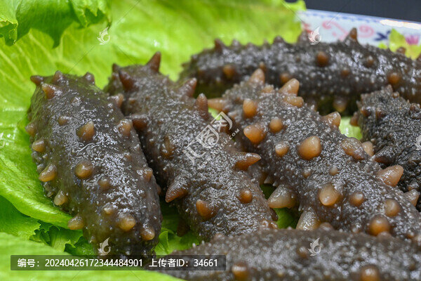 野生即食海參刺參海鮮美食