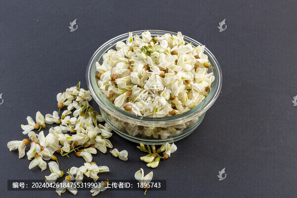 棚拍刺槐花洋槐花