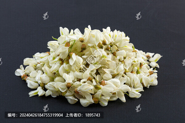 棚拍刺槐花洋槐花