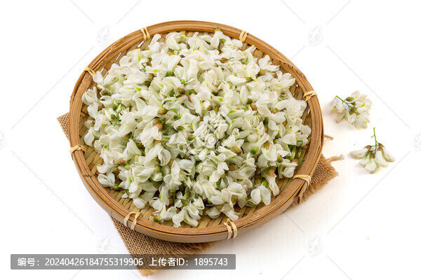 棚拍刺槐花洋槐花
