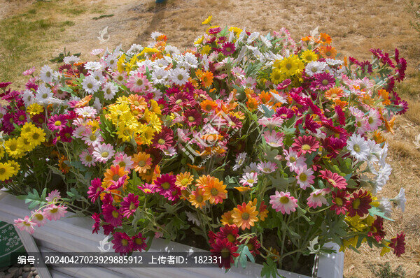小雛菊花叢假花