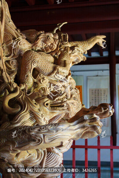玉溪九龍池公園九龍根雕