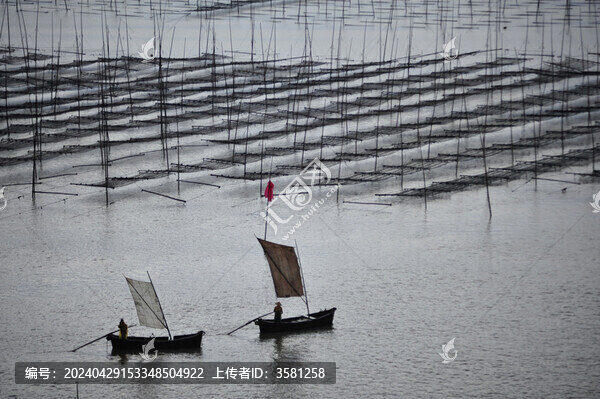 霞浦清晨