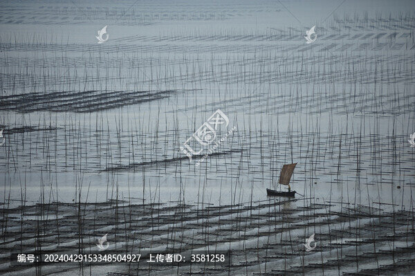 霞浦清晨