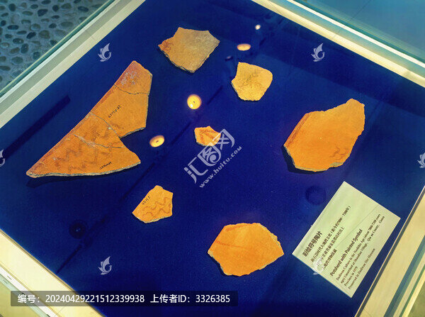 大地灣彩陶片
