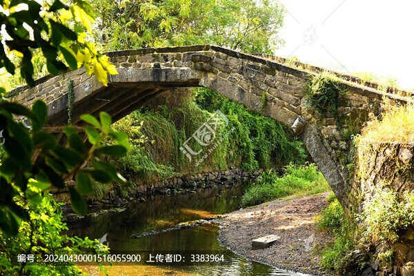 古月橋