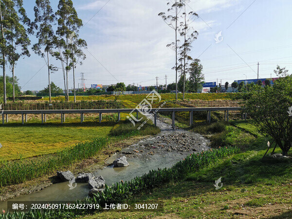 公園生態(tài)環(huán)境