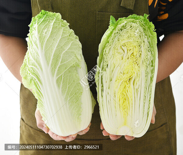 新鮮大白菜