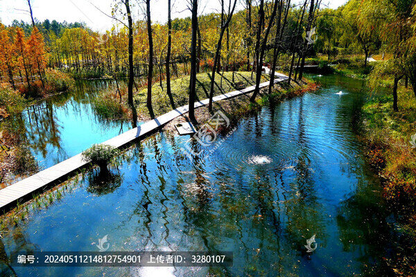 林中棧道