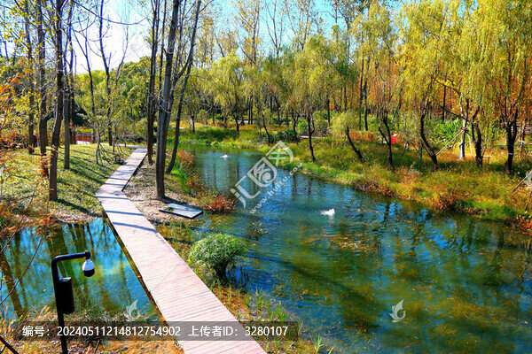 林中棧道