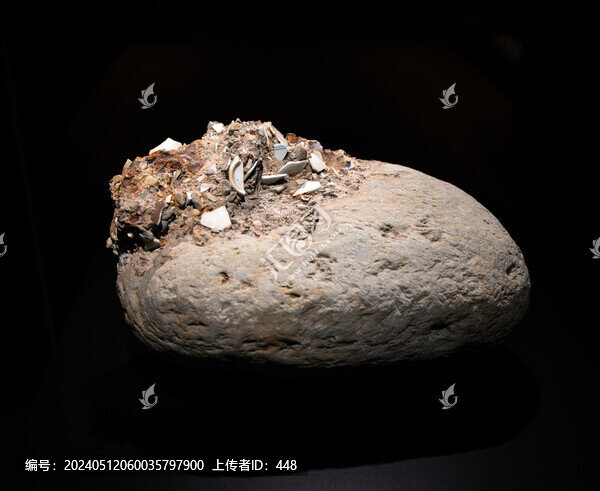 文物沉積