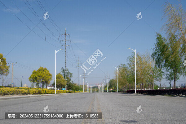 盤錦田家鎮(zhèn)公路行道樹