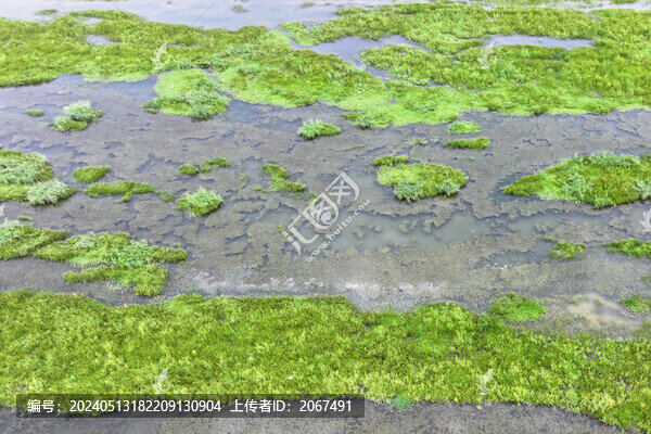 山東棗莊蟠龍河濕地風(fēng)光
