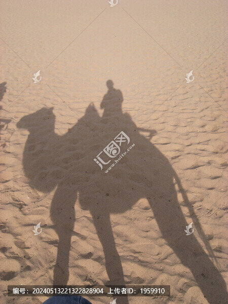 騎駱駝