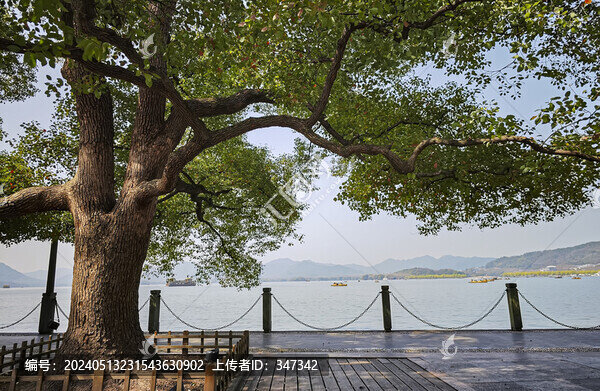 西湖