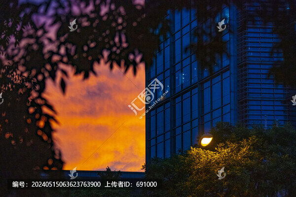 晚霞下的建筑樹影和街燈