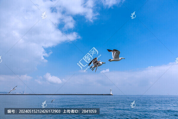 中國遼寧大連東港碼頭
