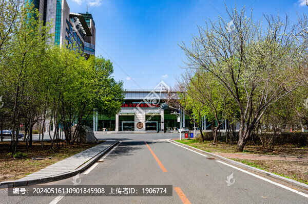 杏花盛開的長春吉林大學前衛(wèi)校區(qū)