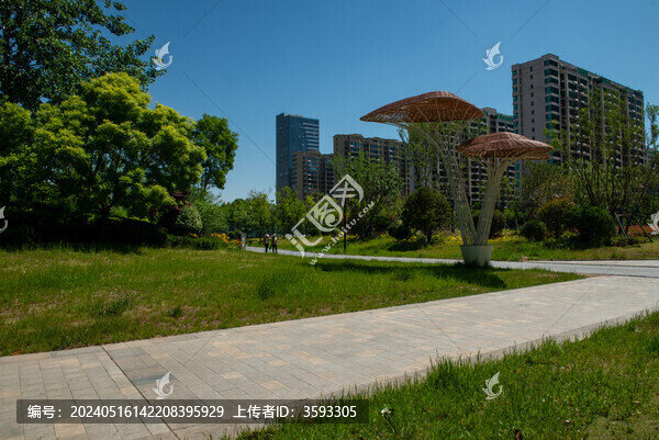 臨沭縣蒼源河公園一景