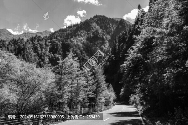 山間的公路