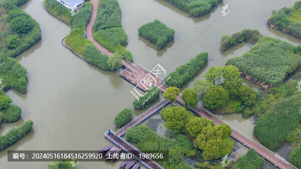 下渚湖濕地公園