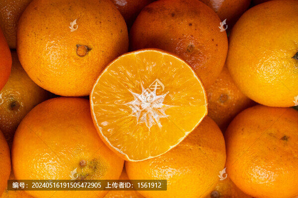 橙子