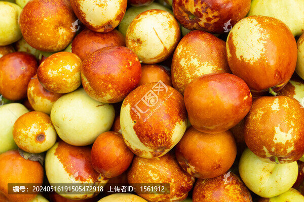 冬棗