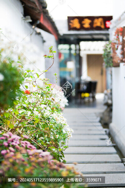 古鎮(zhèn)路邊的野花小路