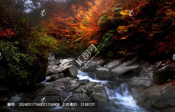 光霧山紅葉