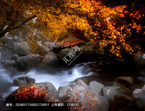 光霧山紅葉