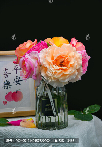 彩色月季花鮮花插花鮮艷花朵