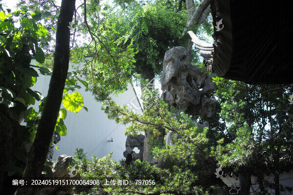 蘇州園林獅子林