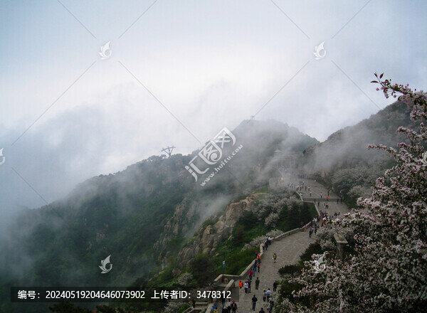 春天開滿鮮花的泰山古建筑