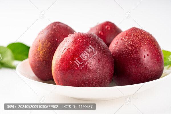 油桃