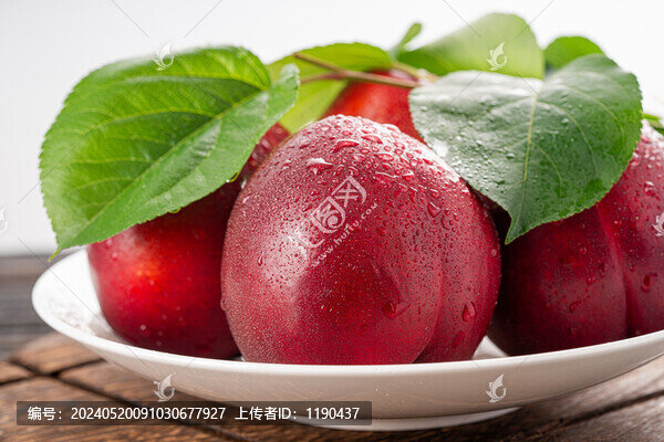 油桃