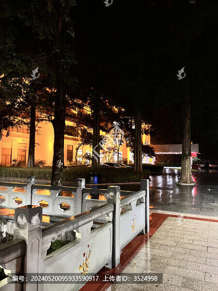 森林樹木自然