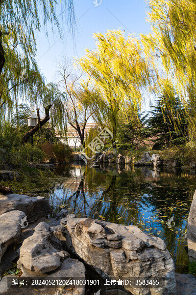 山東濟南市區(qū)5A景區(qū)五龍?zhí)豆珗@