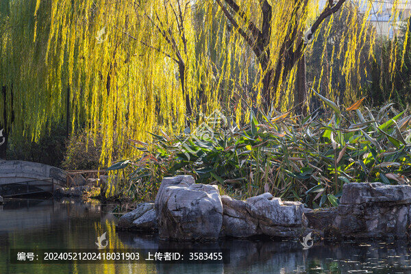 山東濟南市區(qū)5A景區(qū)五龍?zhí)豆珗@