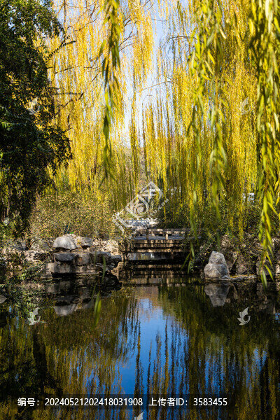 山東濟南市區(qū)5A景區(qū)五龍?zhí)豆珗@